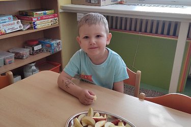 Obrázek č.16